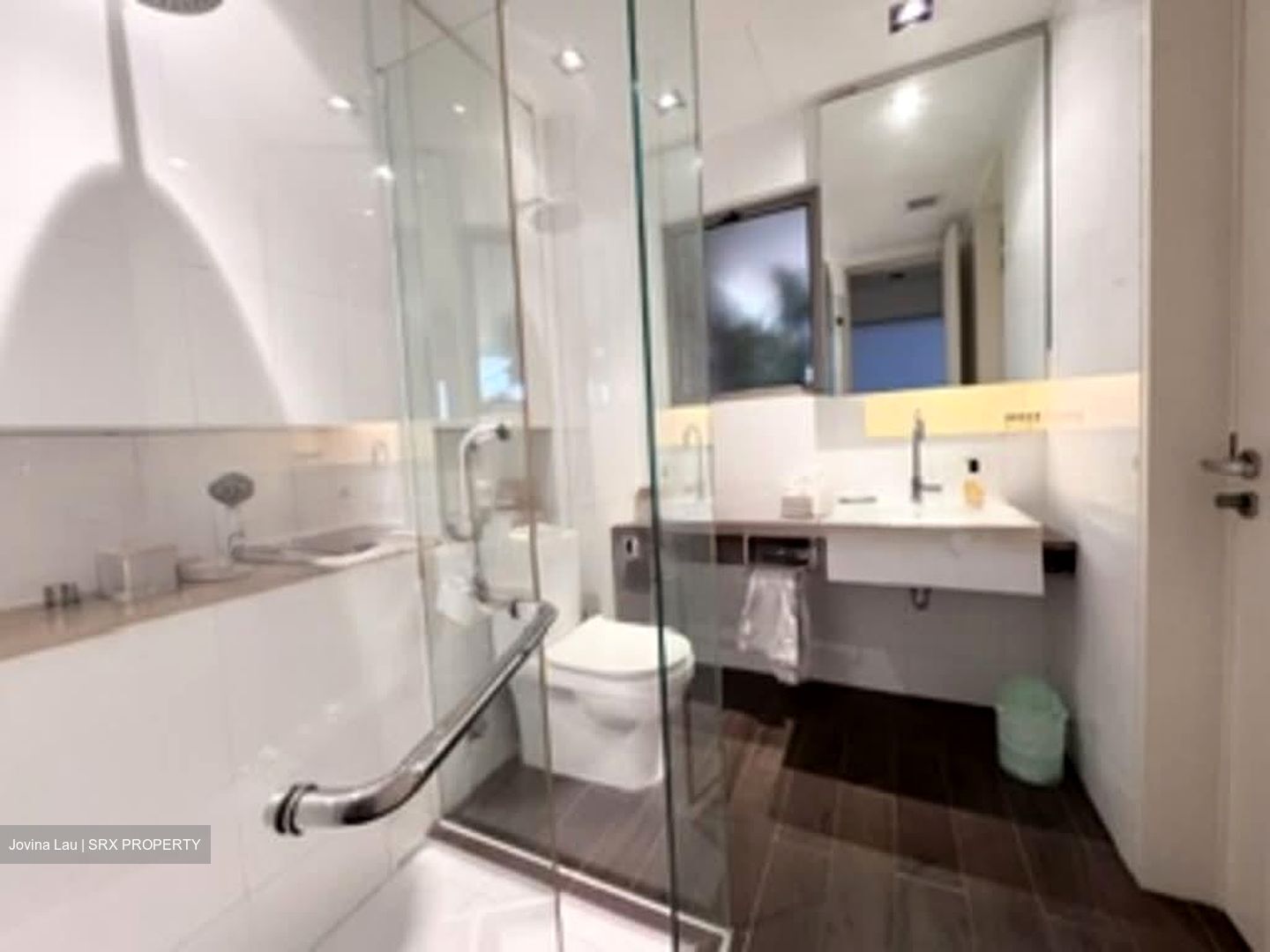 Nassim Mansion (D10), Apartment #560341651